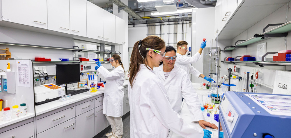 Studierende bei der praktischen Arbeit im Chemielabor.