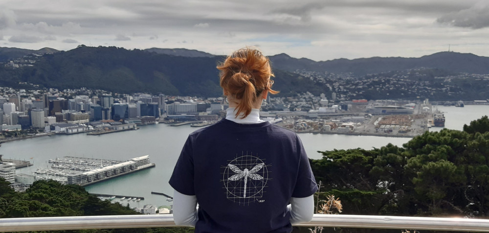 Blick auf Wellington, Neuseeland