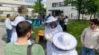 Prof. Dr. Christoph Harff macht auf dem HSHL-Campus in Hamm eine Tour zum Bienenstock